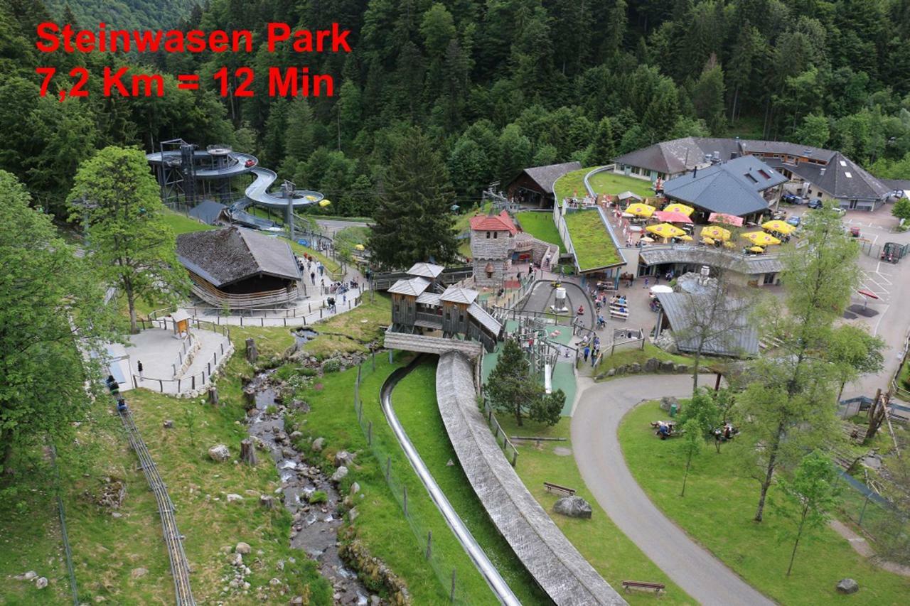 Residenz Schauinsland, Ganzes Appartement, Sauna トートナウ エクステリア 写真