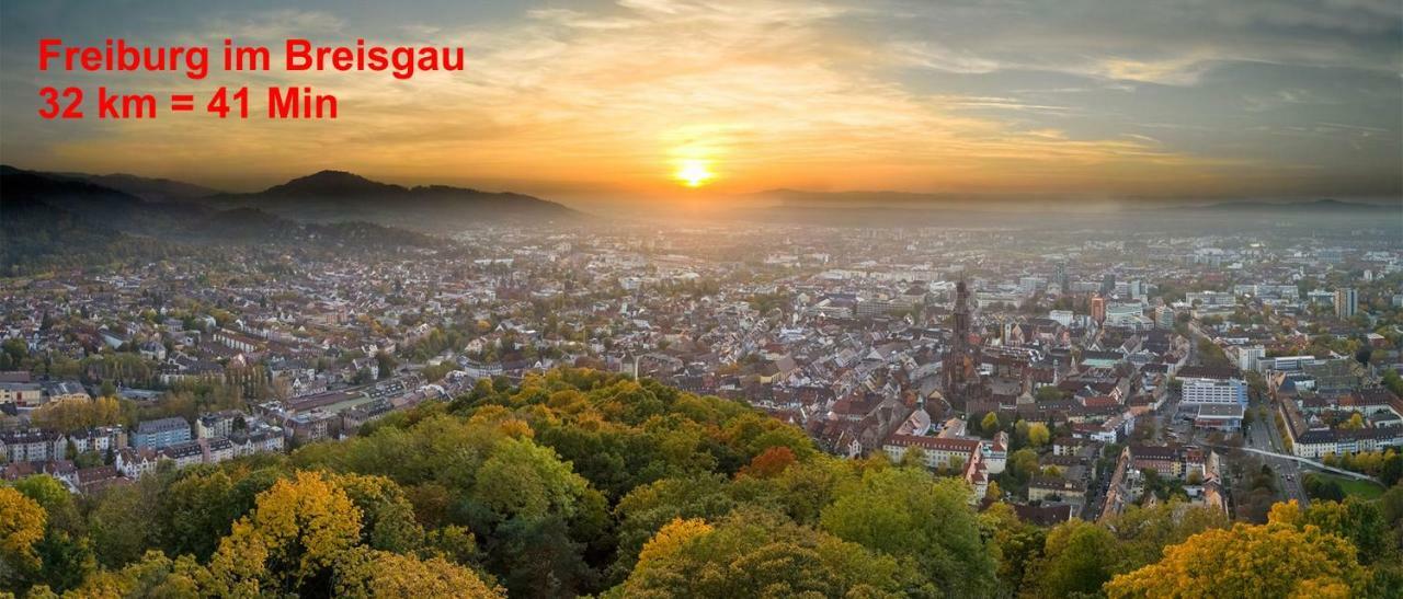 Residenz Schauinsland, Ganzes Appartement, Sauna トートナウ エクステリア 写真