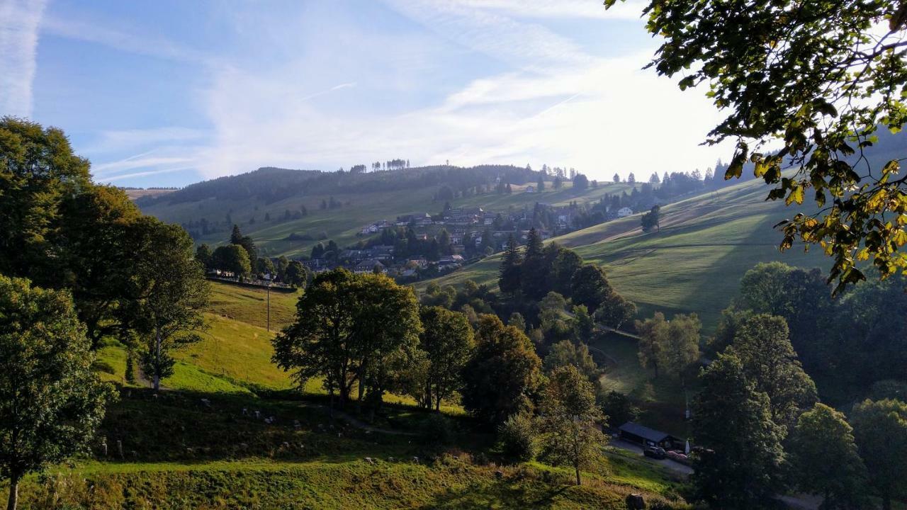 Residenz Schauinsland, Ganzes Appartement, Sauna トートナウ エクステリア 写真